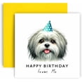 thumbnail image 1 of Huxters Birthday Card from the Dog \u2013 Lhasa Apso - Happy Birthday to Dog Mum and Dog Dad \u2013 Birthday Card from the Dog to Friends Family First Birthday (Lhasa Apso), 1 of 7