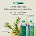 thumbnail image 5 of Renpure Tea Tree & Rosemary Rebalancing Shampoo, for All Hair Types, 28 fl oz, 5 of 10