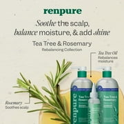 Renpure Tea Tree & Rosemary Rebalancing Shampoo, for All Hair Types, 28 fl oz
