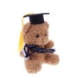 thumbnail image 3 of Osito de peluche de graduación con birrete y borla. Adorable osito de peluche para fiestas., 3 of 8