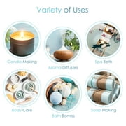 Set of 6 Premium Scented Fragrance Oil for Candle Making, Soap Making, Incense, Potpourri & Aroma Diffuser - Lemongrass, Peppermint, Orange, Lavender, Eucalyptus, Tea Tree Scents, 10ml Bottles