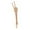 2 fingers, variant on MAGIDEAL Halloween Skeleton Stake Decoration Lawn Stake for Lawn Garden Outdoor Party 2 fingers