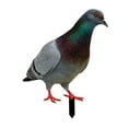 thumbnail image 4 of Kuntesetty Pigeon Garden Stake Animal Decorative Ornament Metal Lifelike Bird Ground Insert 29x23.3x0.1cm, 4 of 9