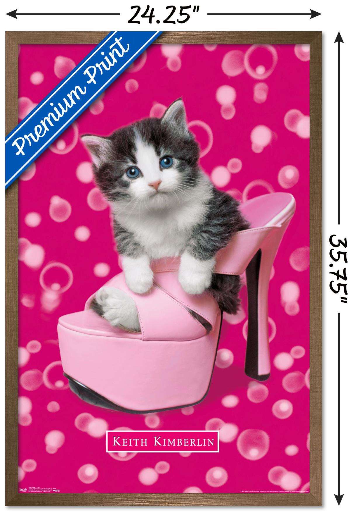 Keith Kimberlin - Kitten - Shoe Wall Poster, 22.375" x 34", Framed
