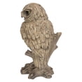 thumbnail image 2 of Chouette Trompette -DRIFTWOOD LOOK-, 2 of 5