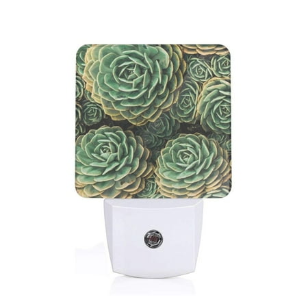 

Naloa Succulents Night Lights Plug into Wall Dusk to Dawn Sensor Warm White Led Night Light 0.5W Nightlight suit for Adults Bedroom Bathroom Hallway Kitchen