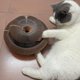thumbnail image 4 of Tablero rascador para gatos con bola de campana, tapete rascador plegable, juguete para gatos, 4 of 4