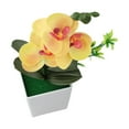 thumbnail image 4 of Stunning Potted Butterfly Orchid Flowers for Home and Office 26x10x10cm, 4 of 6