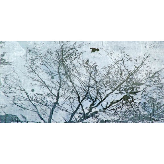 Marmont Hill Inc Marmont Hill Art Collective 'Wish Upon Water' Canvas Art - Multi