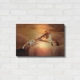thumbnail image 3 of Luxe Metal Art 'Lioness On A Rock 2' by Ata Alishahi, Metal Wall Art, 24"x16", 3 of 7