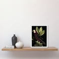 thumbnail image 2 of Burgundy Parrot Leaves Tree Branch on Black Vintage Linocut Illustration Artwork Framed Wall Art Print A4, 2 of 4