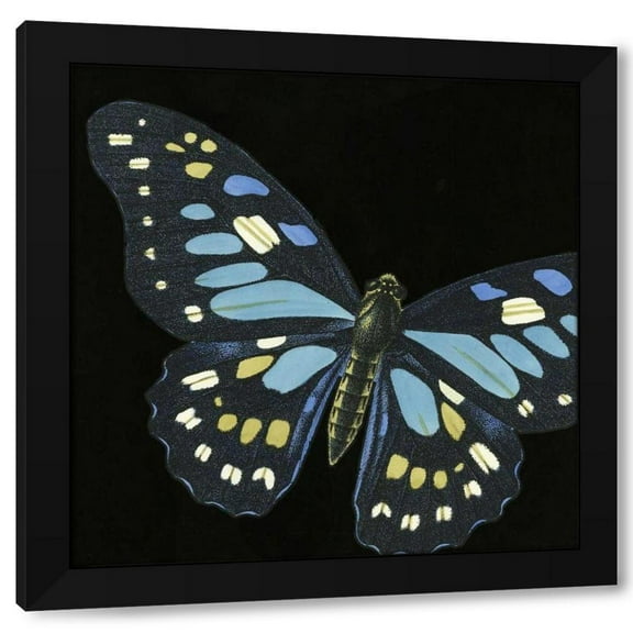 Vision Studio 12x12 Black Modern Wood Framed Wall Art Titled - Small Dramatic Butterflies II