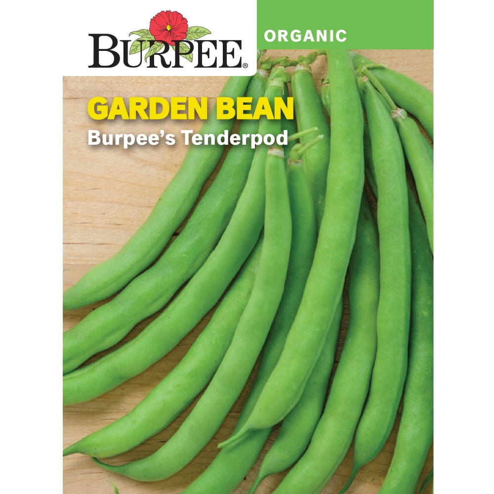 Burpee Organic Burpee's Tenderpod Garden Bean Vegetable Seed, 1pack