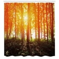 thumbnail image 3 of Ambesonne Nature Shower Curtain, Foggy Forest Scenery, 69"Wx84"L, Orange Fern Green, 3 of 3