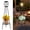 A- 1Pack Black - Edison bulbs, variant on Landscape & Walkway Lights A- 1Pack Black - Edison bulbs