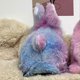 thumbnail image 2 of Interactive toy rabbit Simulated pet, 2 of 5