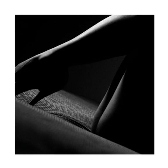 Erik Schottstaedt 'Tokyo Sonata' Canvas Art