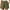 Army Green, variant on FNFYFH 2025 Sport Shorts for Women Drawstring Elastic Waist Athletic Shorts Causal Ruffle Workout Shorts with Pockets Plus Size Yoga Gym Active Womens Shorts Prime Clearance Deals