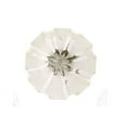 thumbnail image 4 of Set Of Six Clear Cut Tomato White Round Cabinet Knobs by Perilla Home, 4 of 4