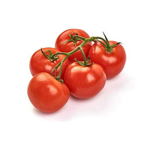 Tomato Homestead Great Heirloom Garden Vegetable Seeds by Seed Kingdom (3,000 Seeds)