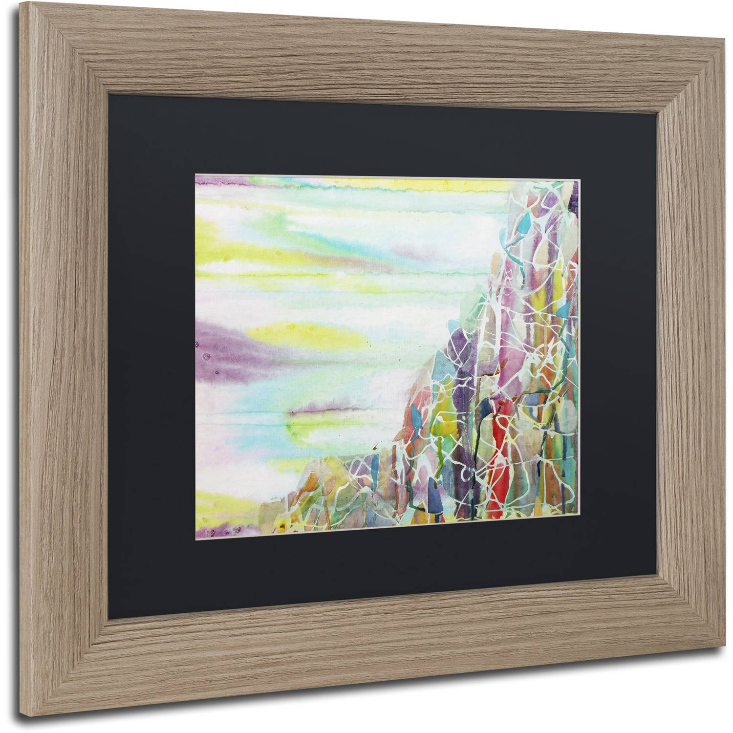 Trademark Fine Art "Chimborazo" Canvas Art by Lauren Moss Black Matte, Birch Frame