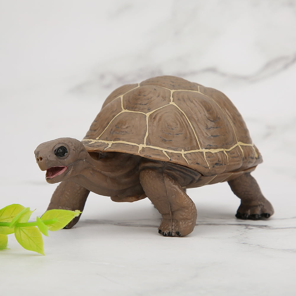 Vivid Animal Model Simulation Tortoise Toy Animal Model, Early ...