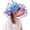 Blue, variant on Women Derby Church Hat Organza Saturday Horse Racing Wide Brim Church Fancy Church Dress Hat with Mesh Flower Decoration
