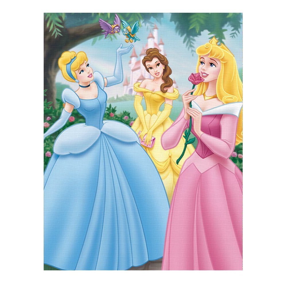 Blanket Disney Princess Belle, Cinderella, and Sleeping Beauty Gifts