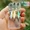 S-3pcs, variant on 3 Pack Metal Spinner Baits, 3D Realistic Blade Fishing Lures with Propeller for Freshwater Bass Trout for Pond Lake River Angler