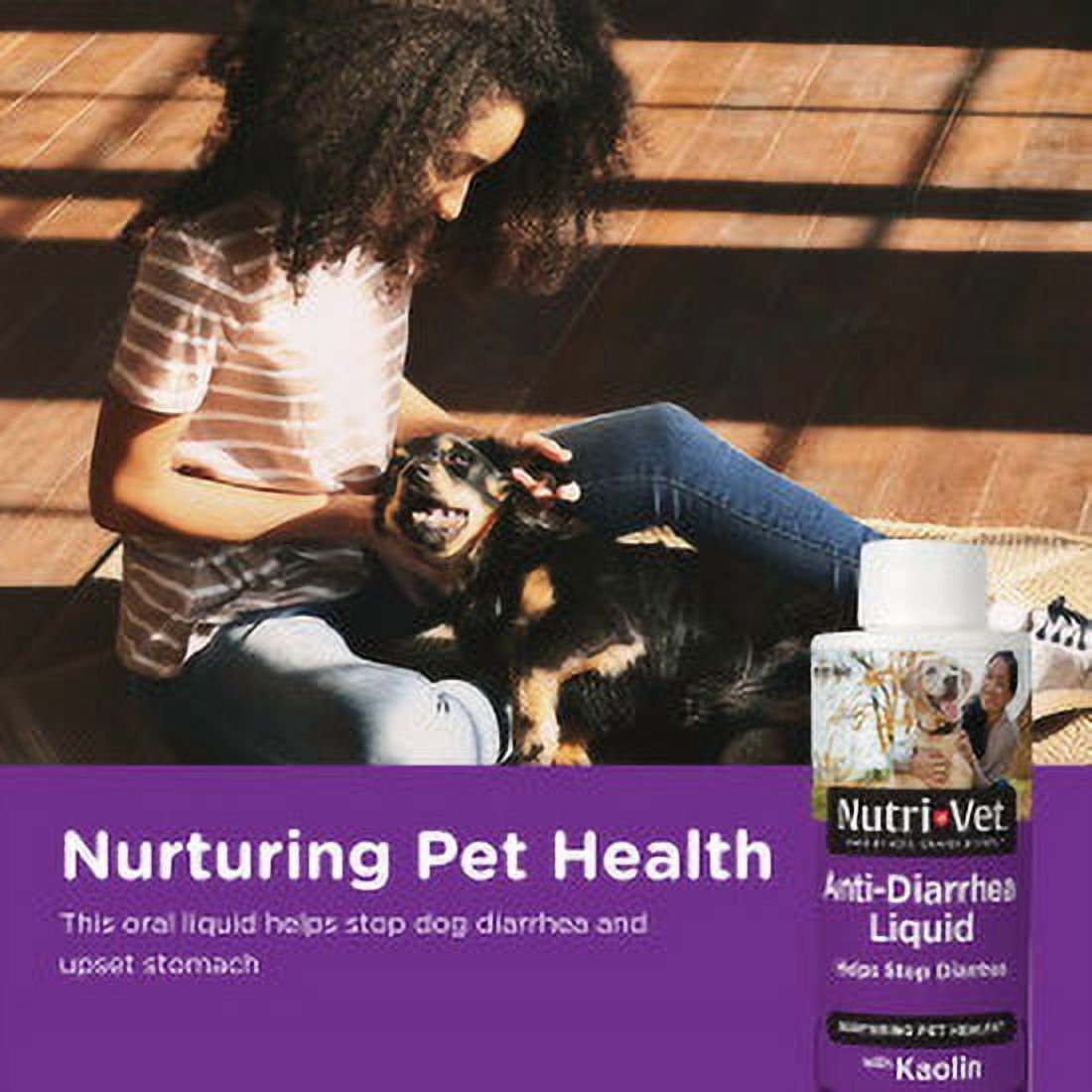 Nutri-Vet Anti-Diarrhea Digestive Remedy for Dogs - Mint Flavor - 4 oz.