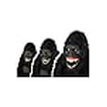 thumbnail image 2 of Costumes de Californie GOIN Masque de Singe costume ANI-MOTION, 2 of 3