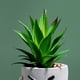 thumbnail image 1 of Lindo Expresión Simulación Planta Verde Bonsai Artificial Suculenta Decoración (C) Likrtyny Libre de BPA, 1 of 6