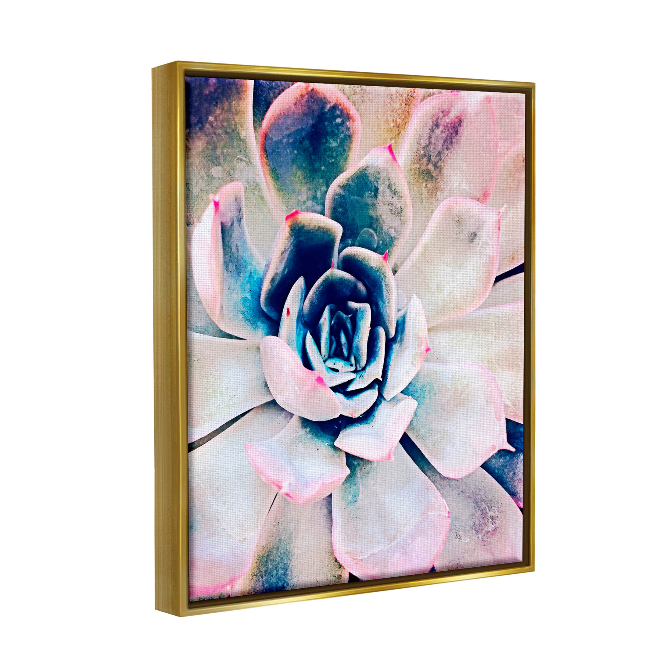 Modern Succulent Plant View Botanical & Floral Photograph Metallic Gold Framed Art Print Wall Art