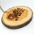 thumbnail image 4 of Welsh Dragon Essential Oil Diffuser Ornament, Decorative Air Freshener, 4 of 5