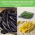 thumbnail image 5 of Bush Bean Seeds Variety Pack - 4 Heirloom Full Sun Annual Vegetables, 5 of 6