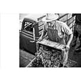 thumbnail image 6 of Vineyards : Photographs by Fred Lyon (beautiful photographs taken over seventy years of visiting vineyards around the world) (Hardcover), 6 of 12