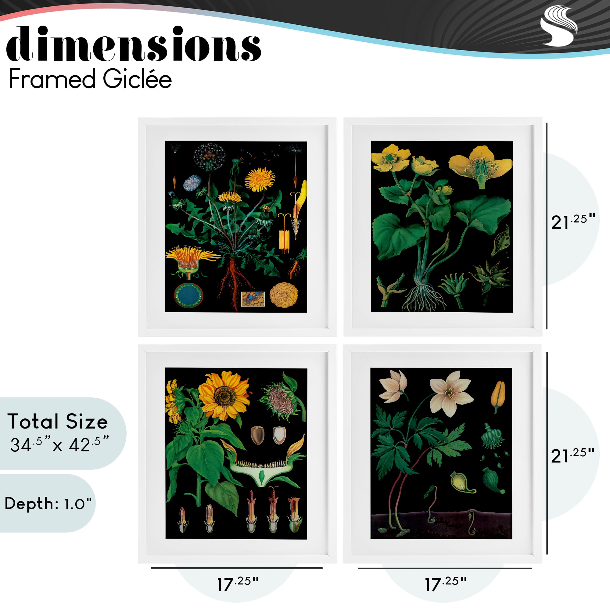 Stupell Industries Botanical Illustrations on Black 4 Piece White Framed Print Under Glass Set, design by Vintage Hustle