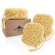thumbnail image 1 of Esponja de baño MyHomeBody Foam Luofah Body, 3 unidades, 1 of 6