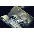 thumbnail image 3 of Fairytale Dreams, 3 of 10