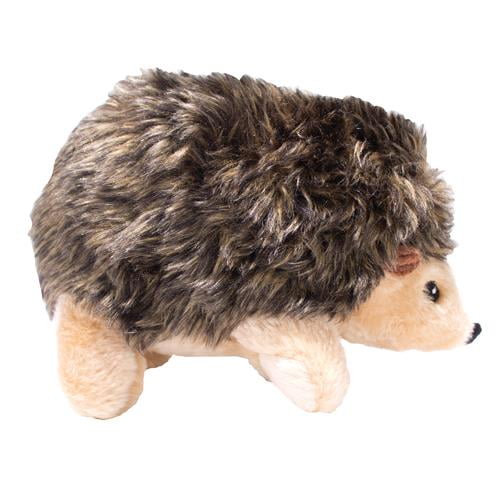 petsmart hedgehog dog toy