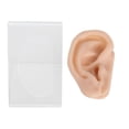 thumbnail image 2 of Modelo de oreja modelo de oreja humana de silicona suave ecológico para hospitales para centros de farmacias de otorrinolaringología ANGGREK Otros, 2 of 8
