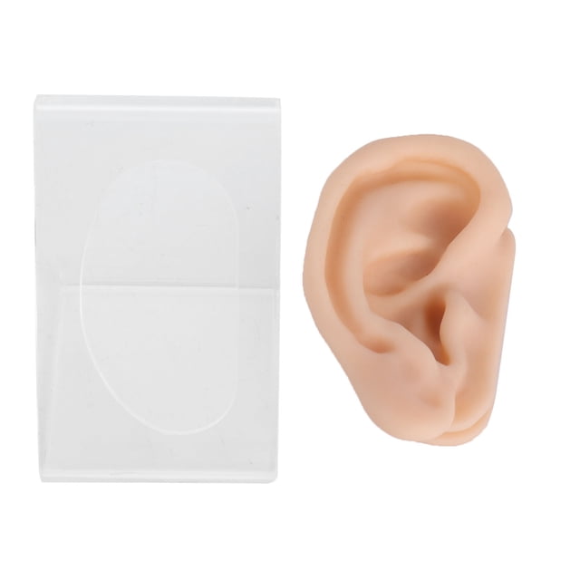 Modelo de oreja de práctica, modelo de oreja de silicona suave, modelo de oreja de exhibición, modelo de oreja de silicona, diseño elevado