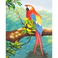 thumbnail image 2 of Cuadros Decorativos Kit de pintura al óleo de loro por números pintura acrílica DIY sobre lienzo (B1455) Tmvgtek embutido en tela, 2 of 9
