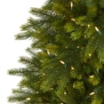 thumbnail image 3 of Nearly Natural 5ft. Manchester Fir Artificial Christmas Tree in Decorative Planter with 250 Clear Warm (Multifunction) LED Lights and 366 Bendable Branches, 3 of 10