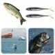 thumbnail image 5 of Cebo Artificial Swimbait Señuelos Pesca 2 Piezas Shad Bait para Atún Lubina en, 5 of 9