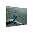 thumbnail image 2 of Trademark Fine Art 'Winter Jay' Canvas Art by Ron Parker, 2 of 3