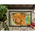 thumbnail image 3 of Carolines Treasures SS8926MAT Dogue de Bordeaux Doormat 18x27 27"L x 18"W multicolor, 3 of 4