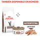 thumbnail image 2 of ROYAL CANIN GASTRO-INTESTINAL FELINE 4 KG ORIGINAL SELLADO, 2 of 5