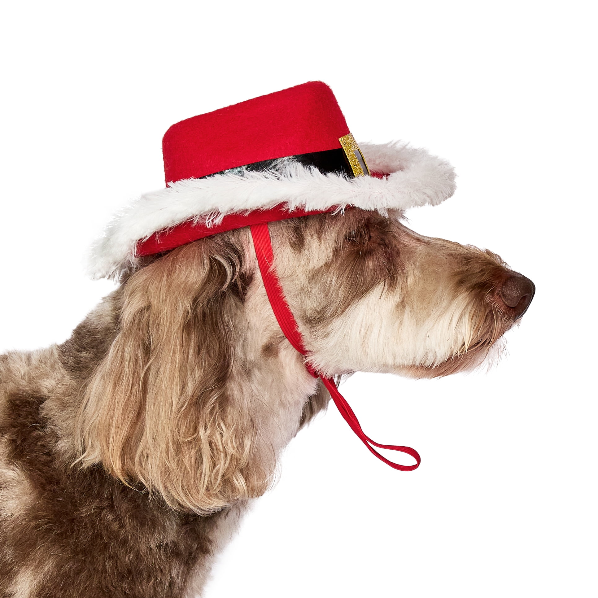 Vibrant Life Holiday Pet Santa Cowboy Hat for Dogs, Red, Medium/Large