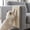White B, variant on Durable Fun Indoor Cat Toys, Wall Mounted High-Density Kitten Toys for Indoor Cats, Tough No Debris Long-Lasting Cat Toys to Keep Them Busy for Safe Wall Play